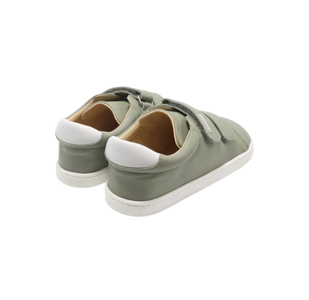 Screenshot_20250224_131123_Photos