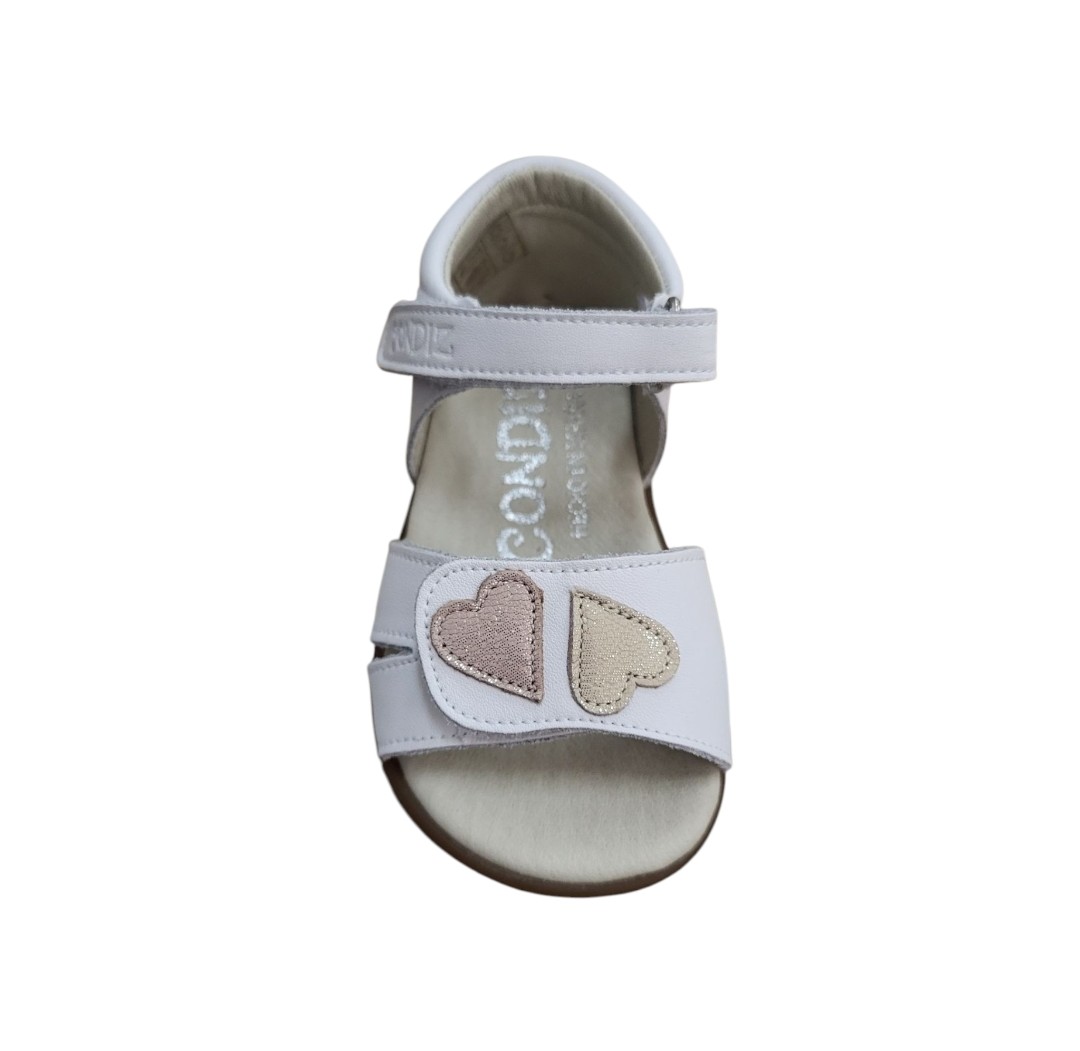 Screenshot_20250501_104753_Photos