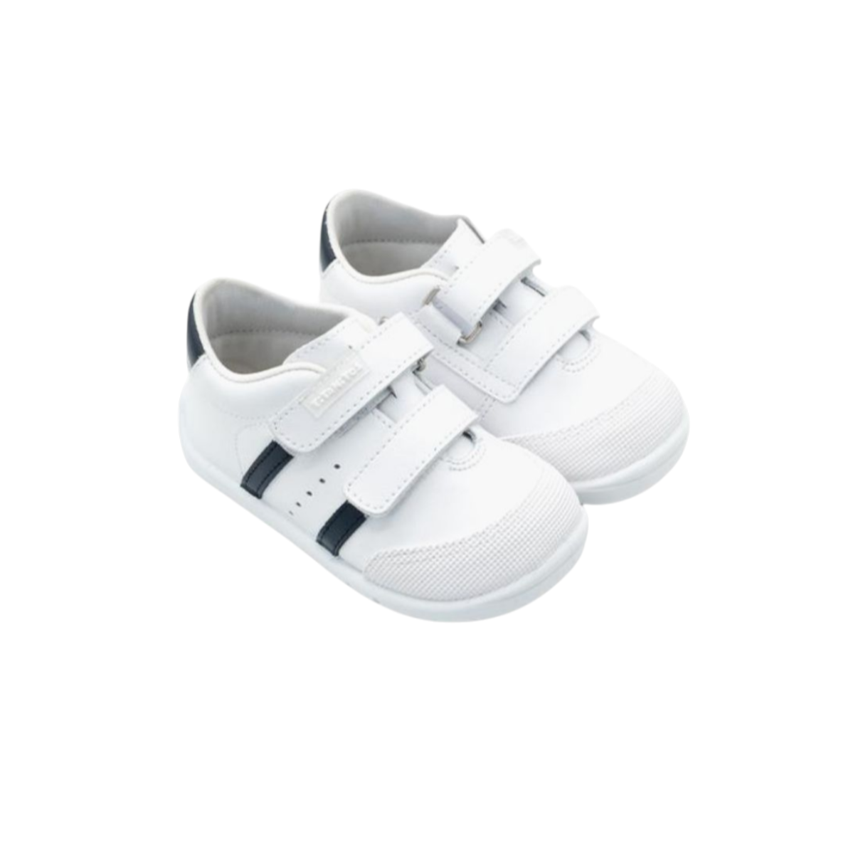 Screenshot_20251014-002454.Fotos