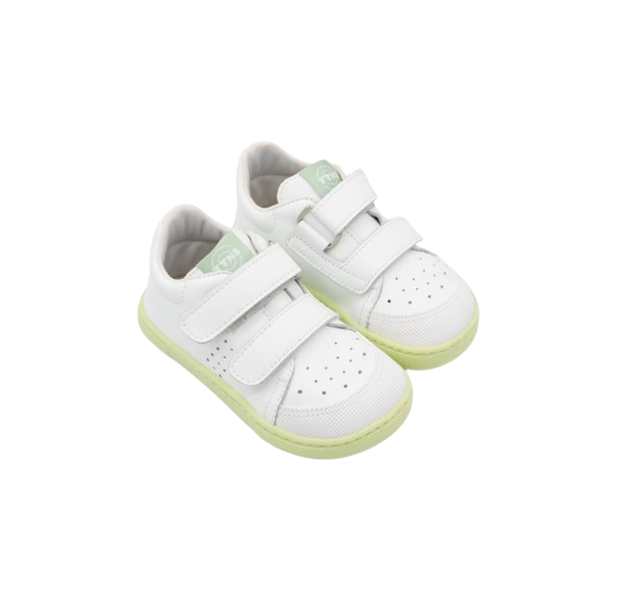 Screenshot_20260216-233254_Fotos