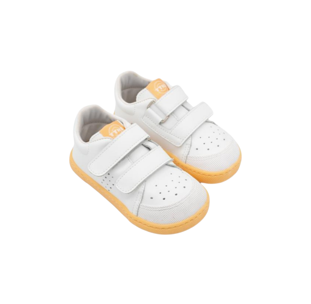 Screenshot_20260216-233334_Fotos