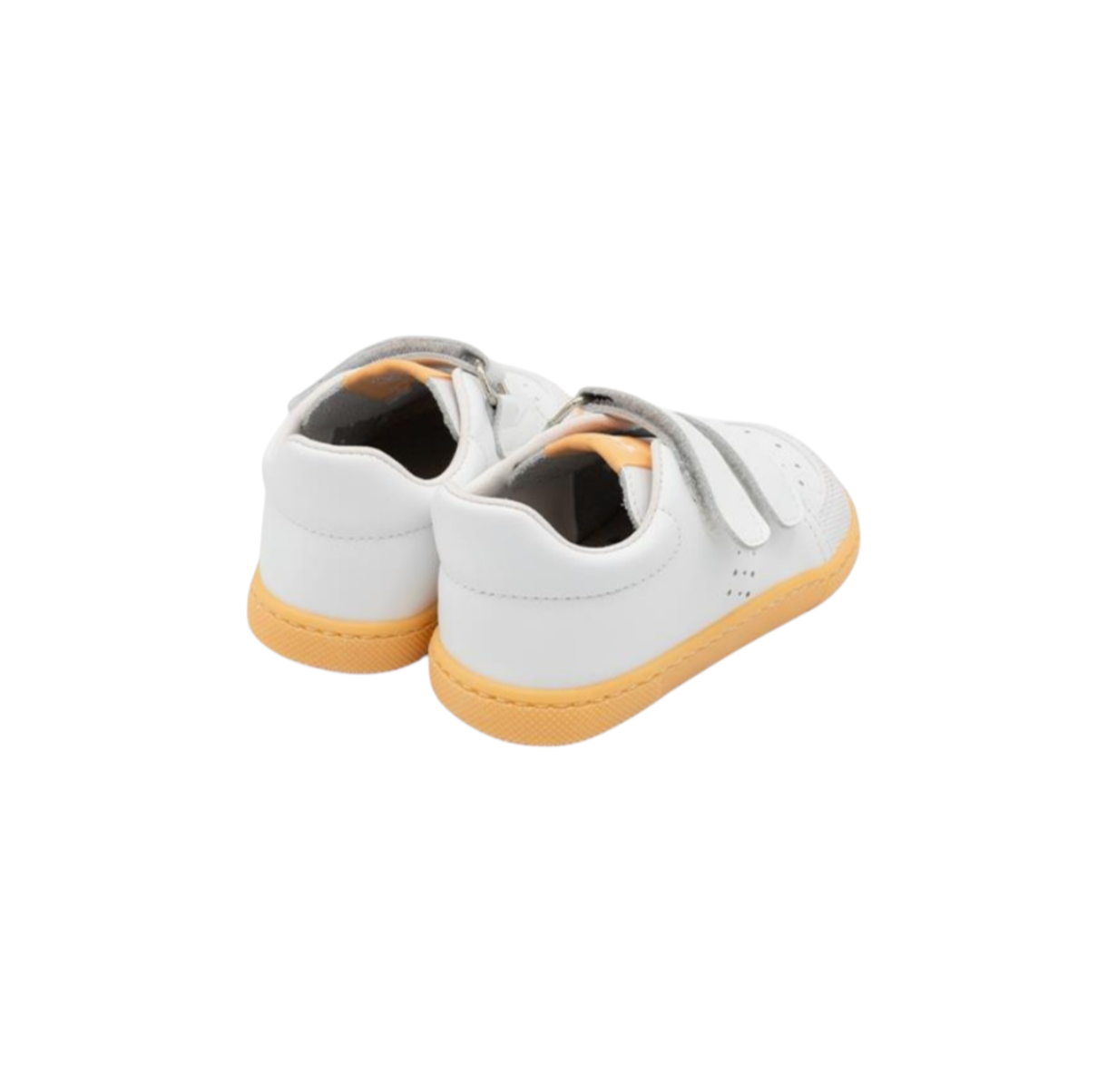 Screenshot_20260216-233346_Fotos